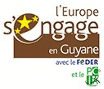 Logo Europe